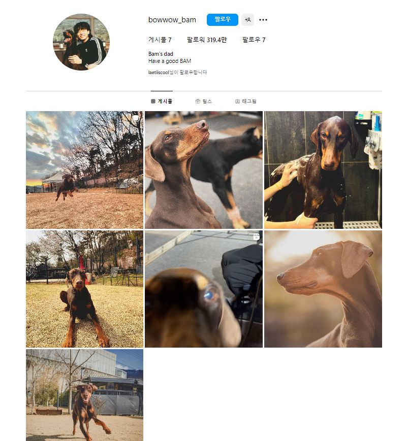 정국이 공개한 sns 계정