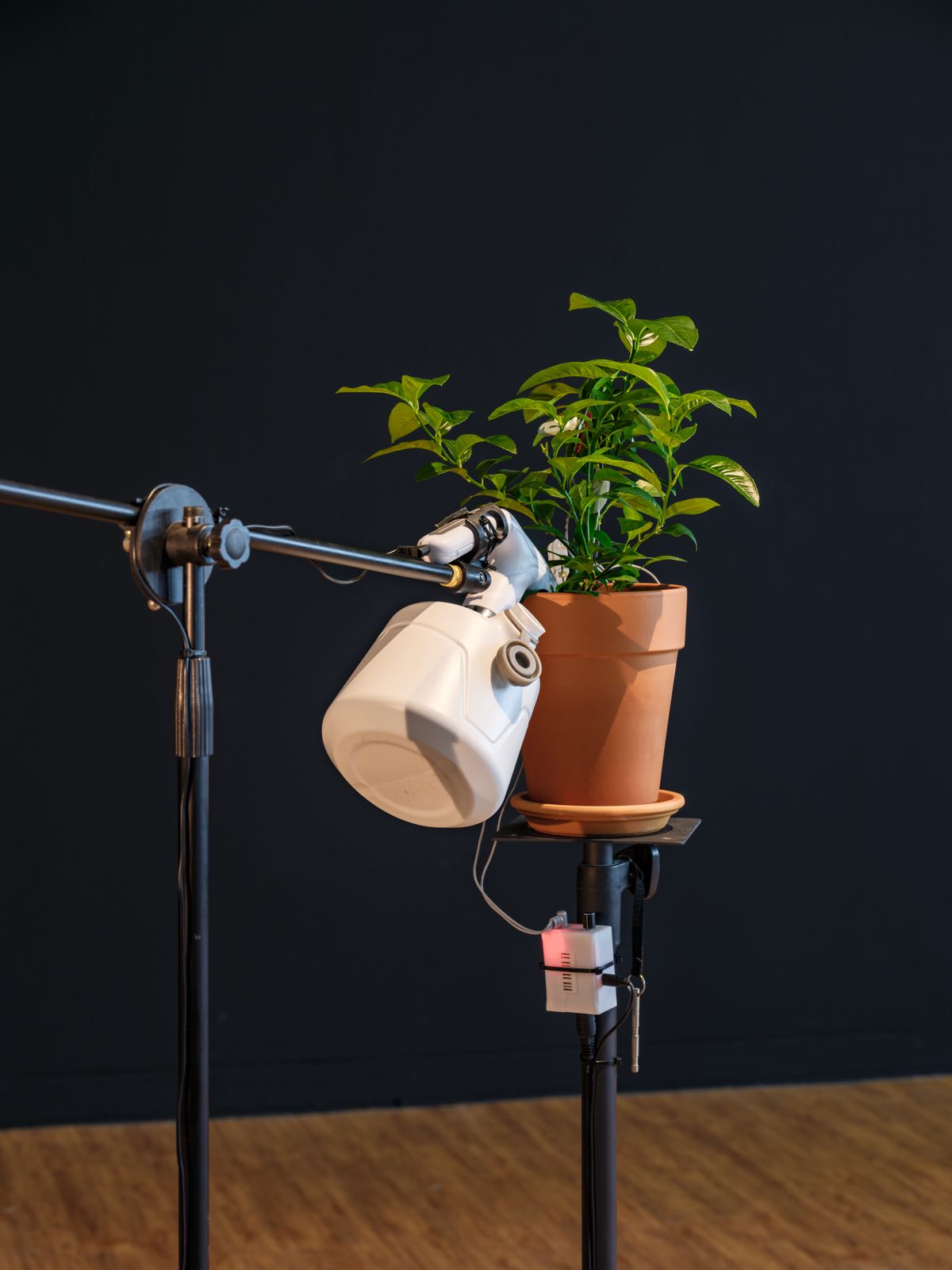 <백그라운드 보이스> 전시 전경 Ⓒ 사진 홍철기, 제공 코리아나미술관