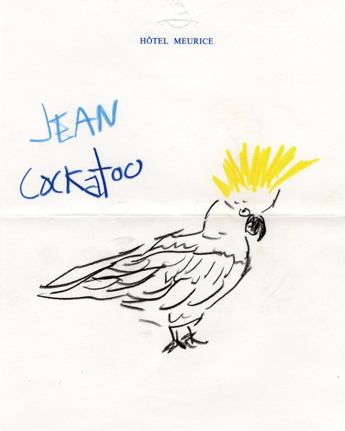  ‘Jean Cockatoo’(2023)