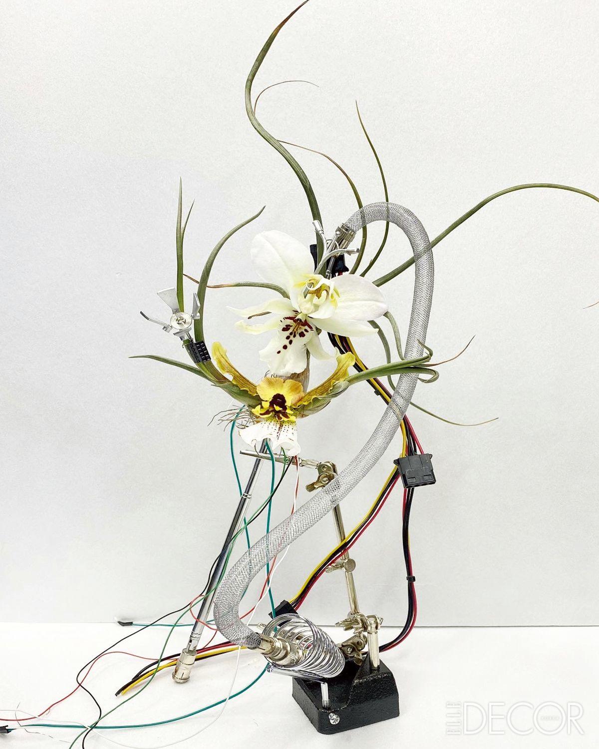 백색 미학을 통해 불교의 정서적 고요함과 자연의 순수함을 표현한 ‘白: 외계식물’. 