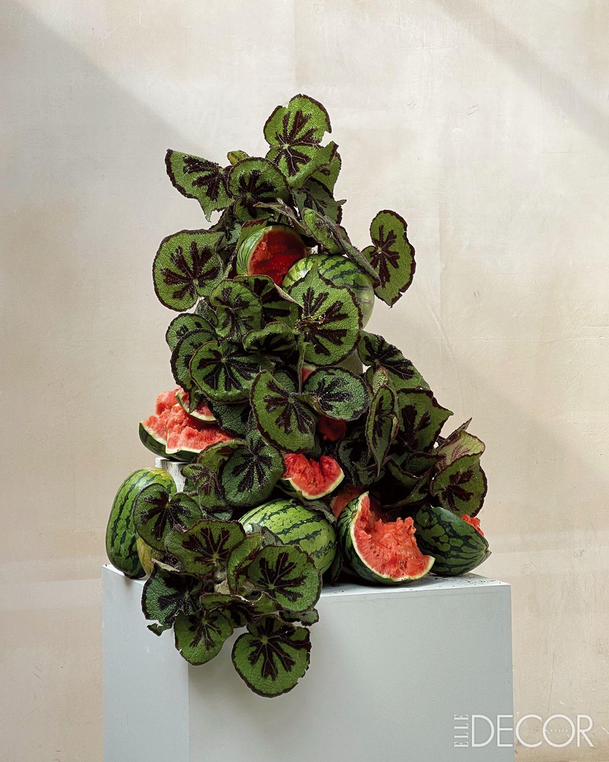 와그너 작품의 특징은 자연 그 자체의 멋을 존중하고 부각시키는 것이다. 베고니아와 수박으로 만든 작품. 