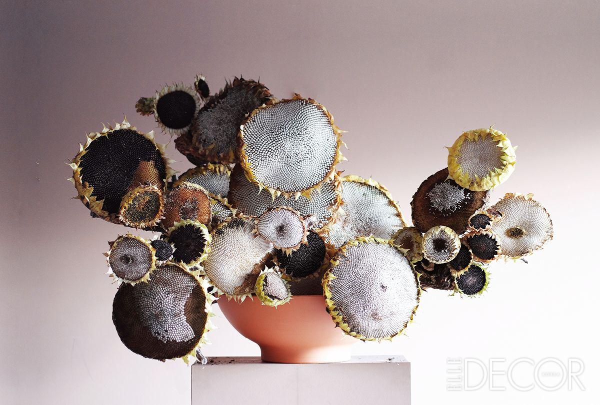 마른 해바라기로 완성한 새를 위한 어레인지먼트. 