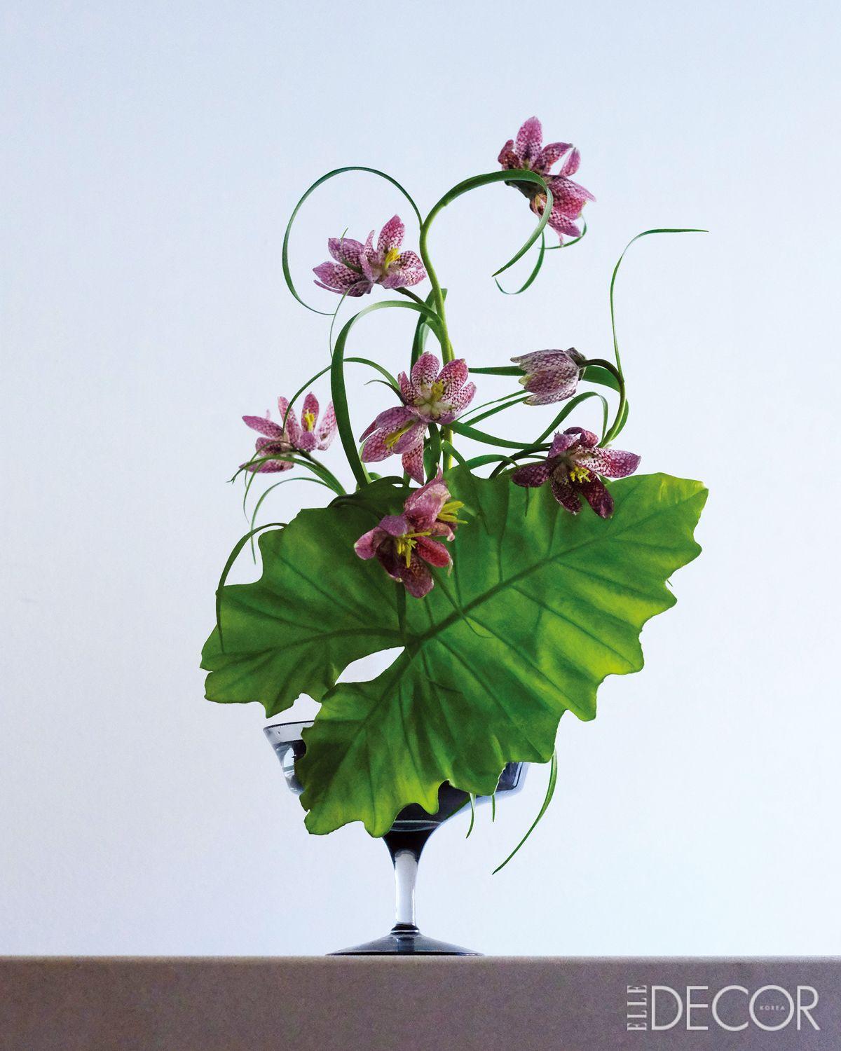 호박꽃과 알로카시아로 완성한 ‘슬픈 열대식물(Tropicos Tristes)’.