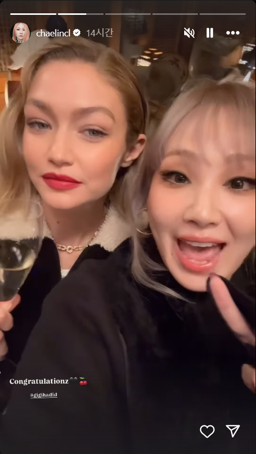 지지 하디드와 사진 찍은 스타들
