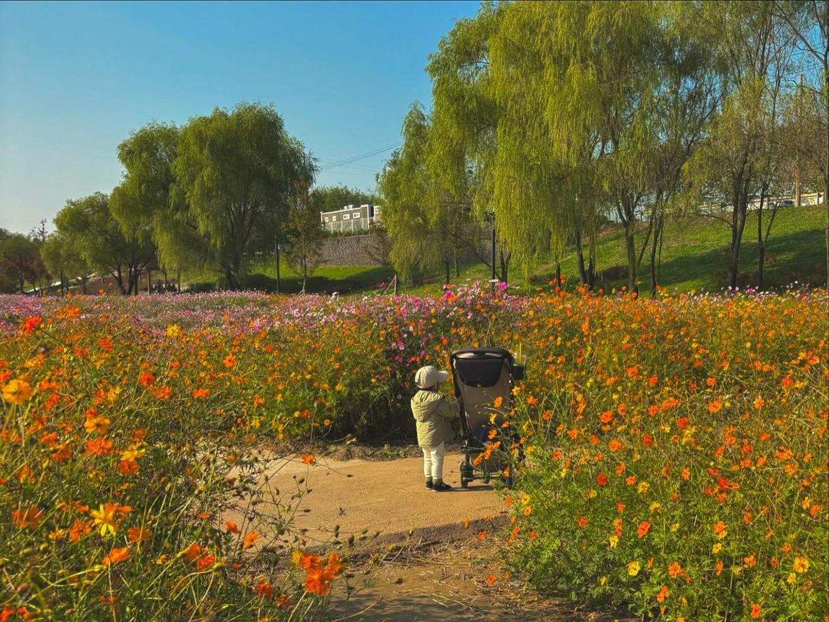 아들과 함께한 근황 사진 공개한 나혜미 