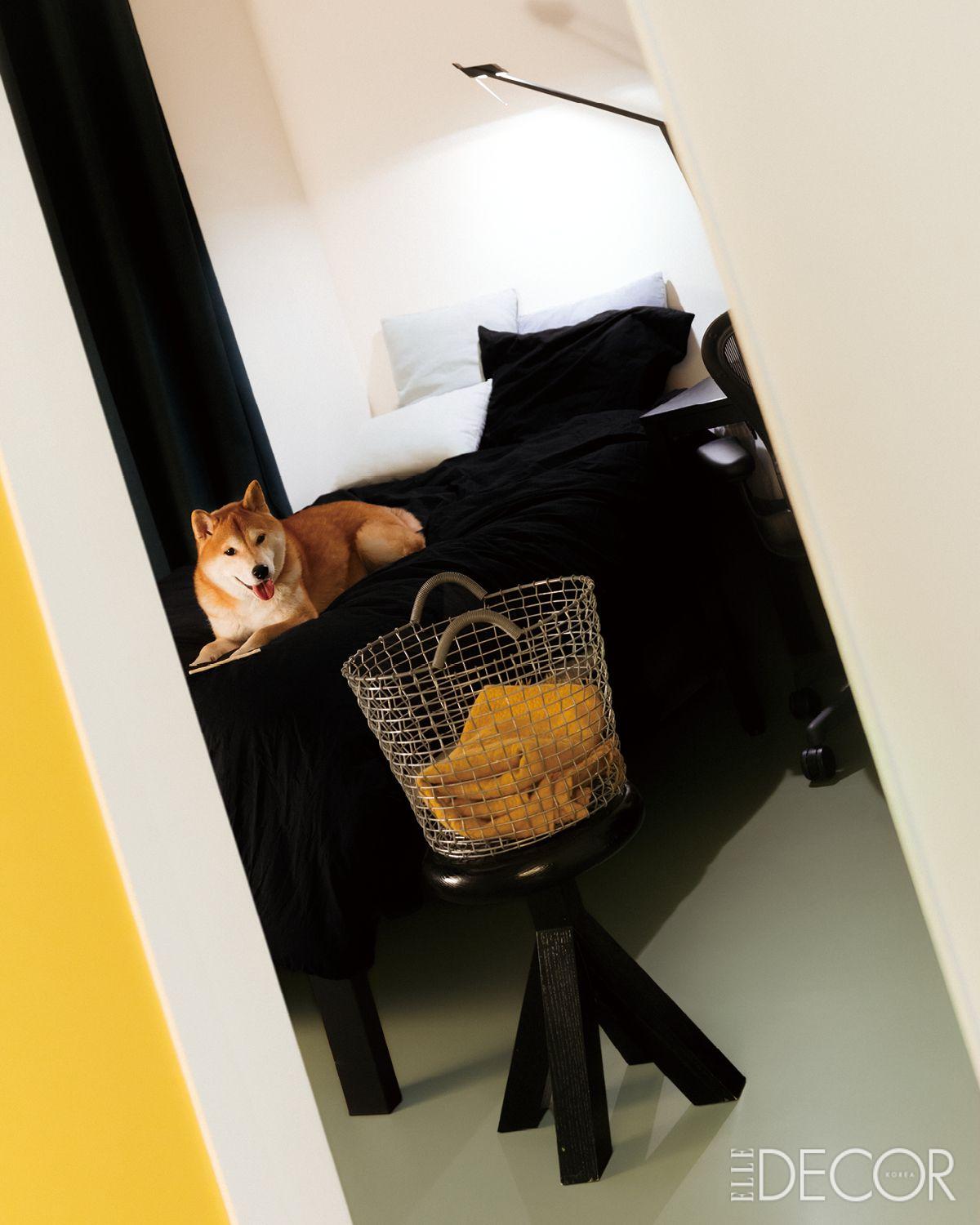 이 방을 가장 즐겨 찾는 손님인 텍스처 온 텍스처의 마스코트인 택수.