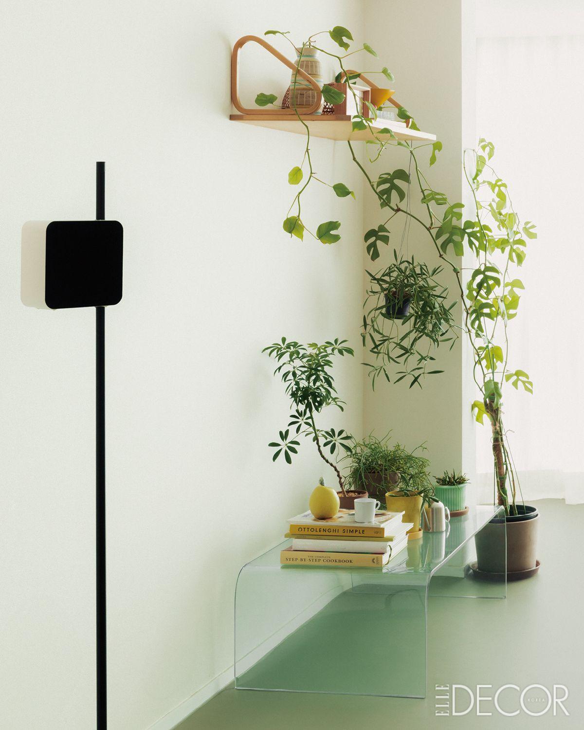 그린 컬러 바닥과 식물의 조화가 자연스럽다.