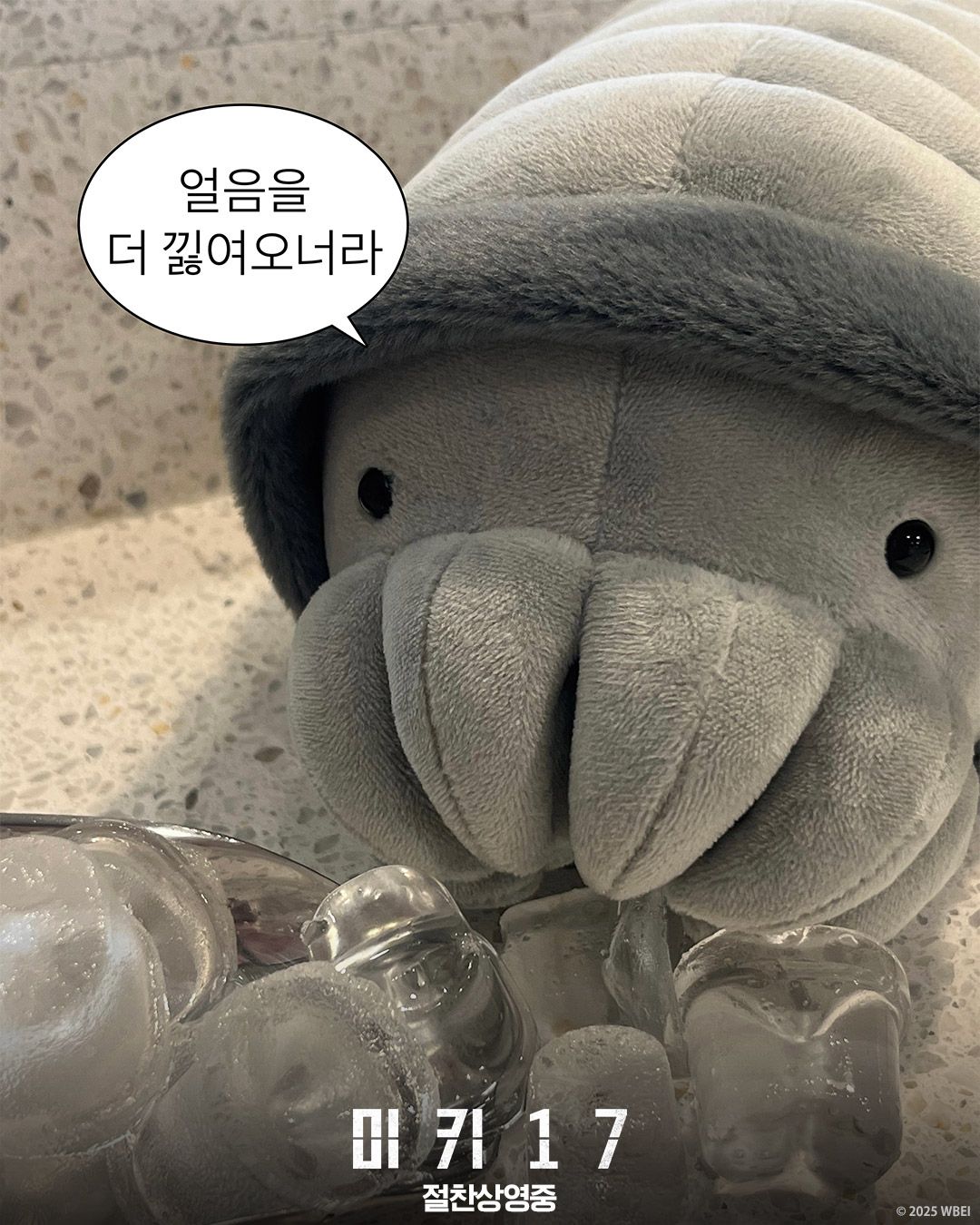 @warnerbros.korea
