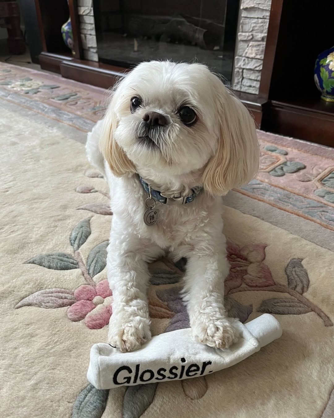 @glossier