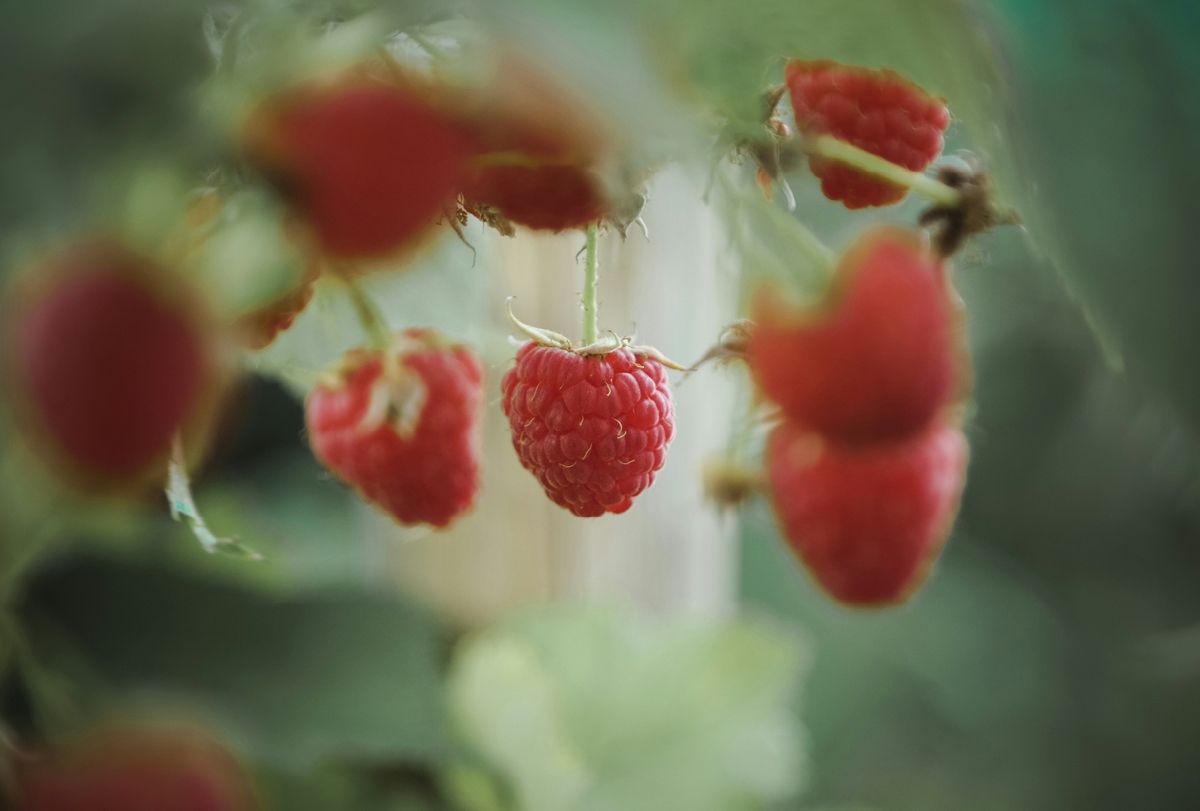 ©unsplash