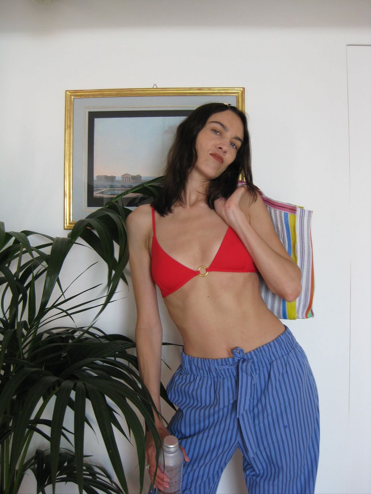 @alexachung
