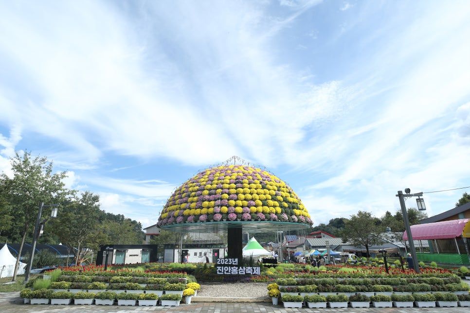 진안홍삼축제 지난 행사 사진