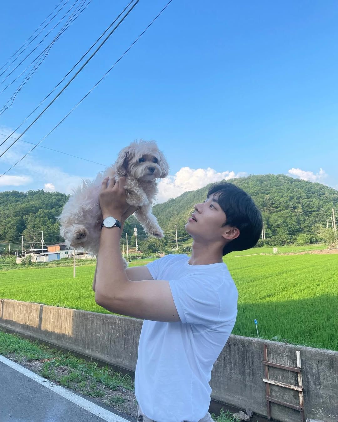 추영우 