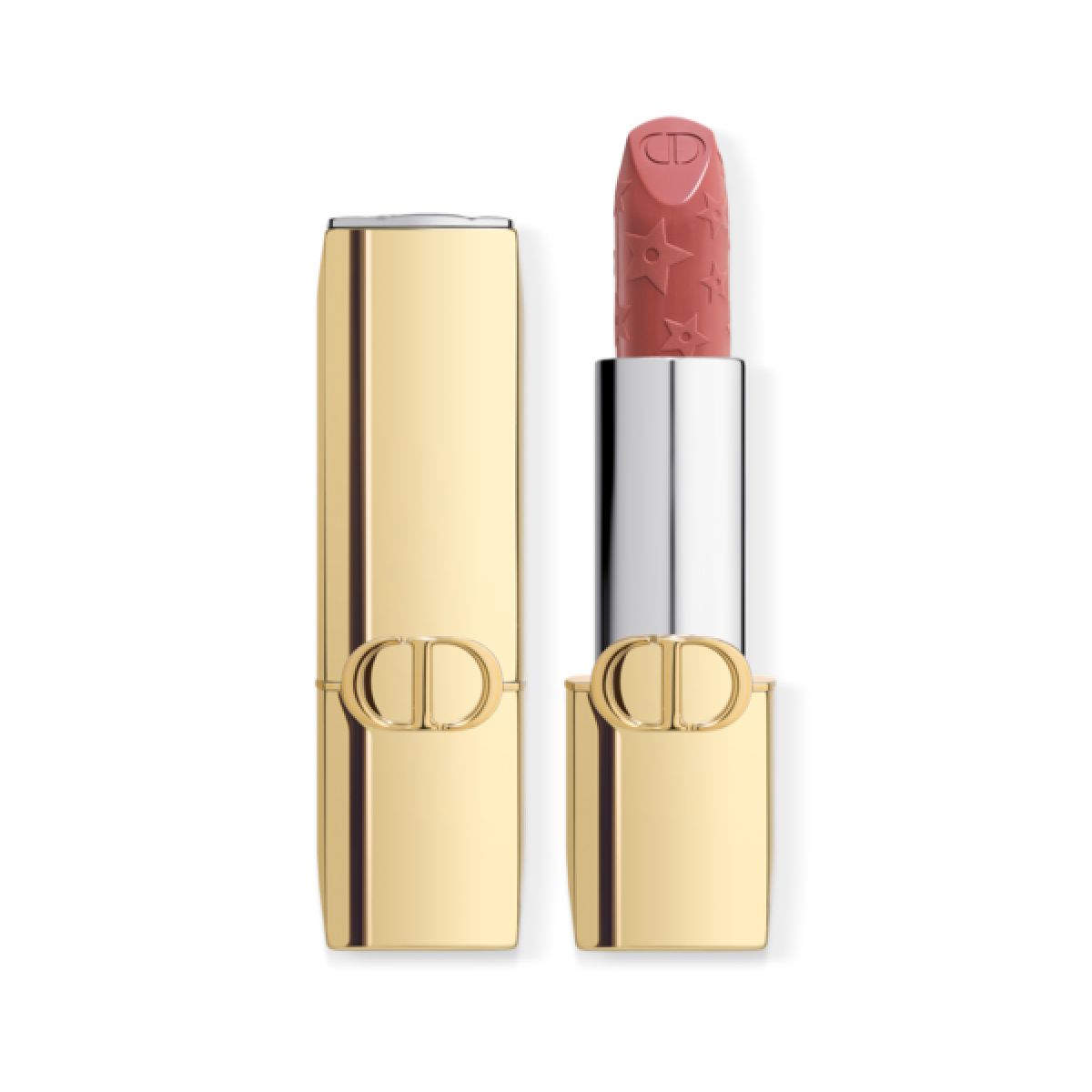 루즈 디올 – 홀리데이 메이크업 컬렉션 | #210 서커스 | 3가지 피니쉬 | 3.5g / 6만 5천원 대