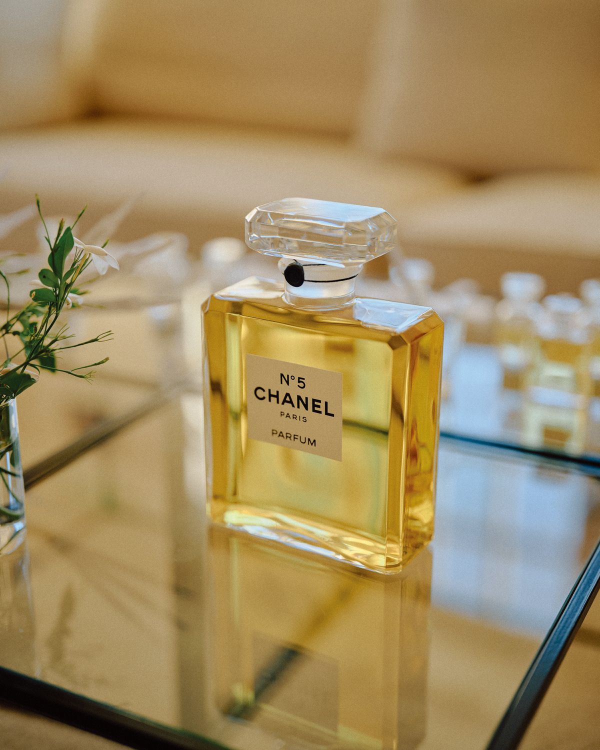 그라스산 쟈스민을 주원료로 탄생한 샤넬 N°5 빠르펭. 