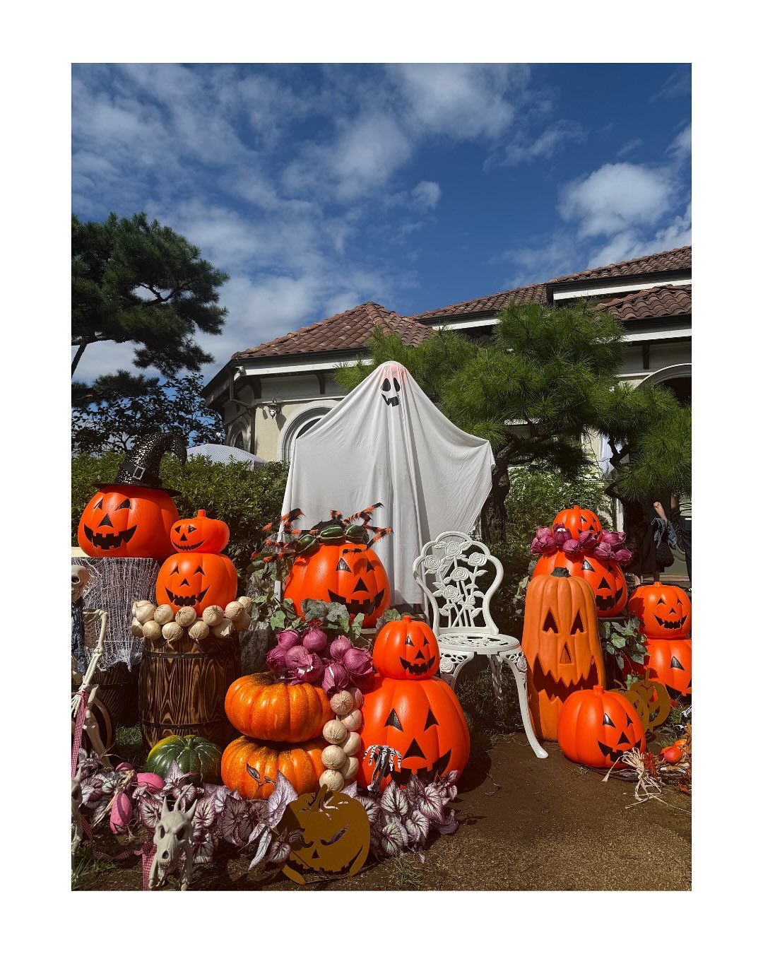 하이베를리너 카페 