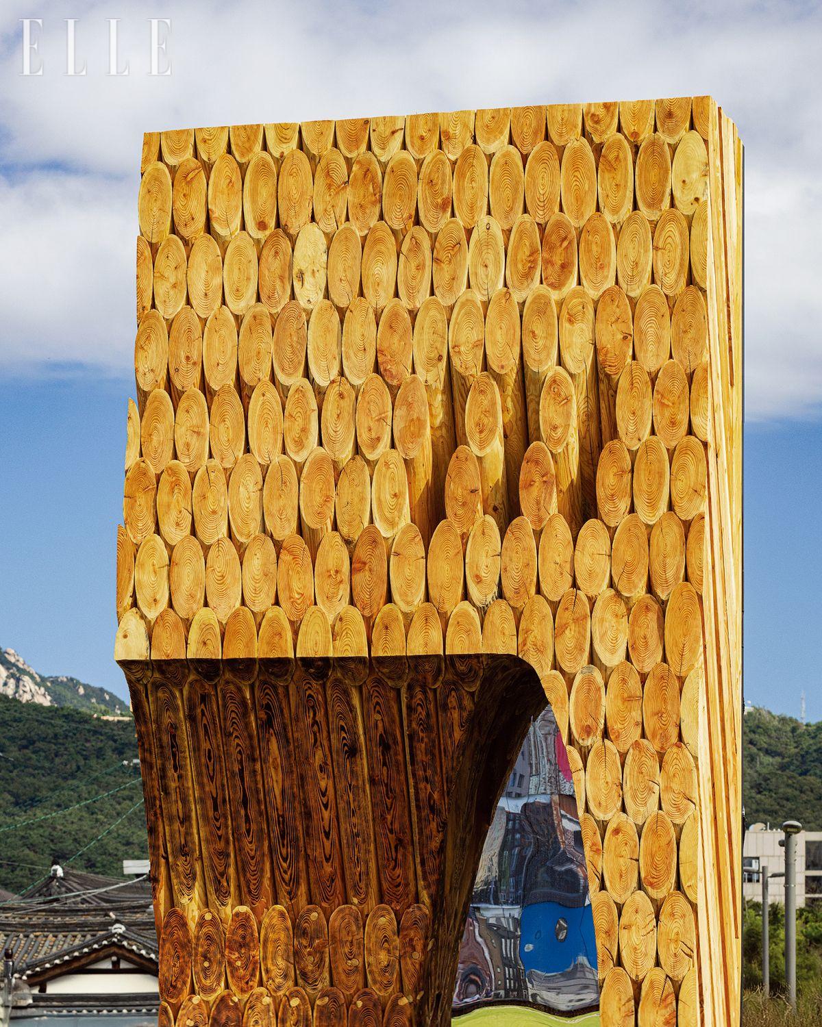 케레 아키텍처의 ‘그 소나무 숲을 지나’. 