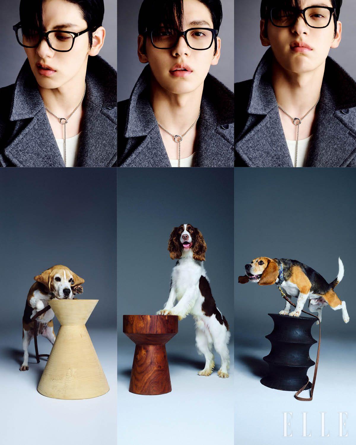 벨티드 코트는 Rokh. 이너 웨어 톱은 Recto. 팬츠는 Courrèges. 네크리스는 Tomwood. 왼쪽부터 난초, 태일, 브라보. 조형적인 형태의 나무 오브제는 임정주 작가 작품.