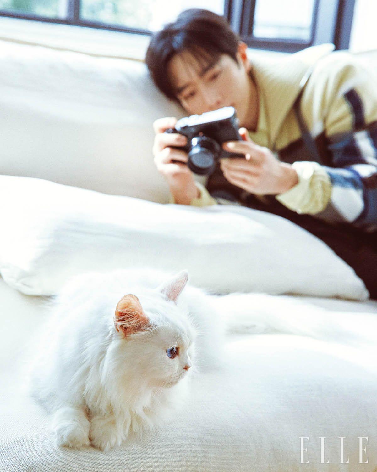 이너 웨어 옐로 셔츠와 멀티컬러 니트, 브라운 팬츠는 모두 Hermès.