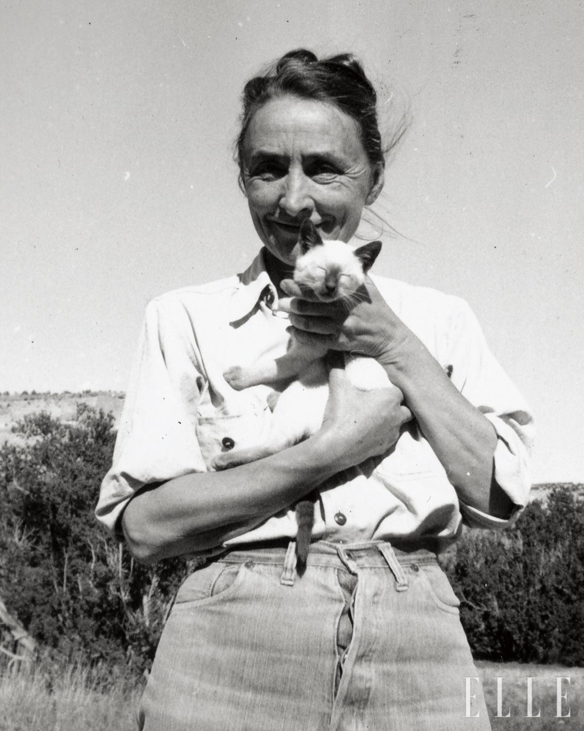 Georgia O’Keeffe, ‘Untitled (Dog)’(1952). Ⓒ Georgia O’Keeffe Museum