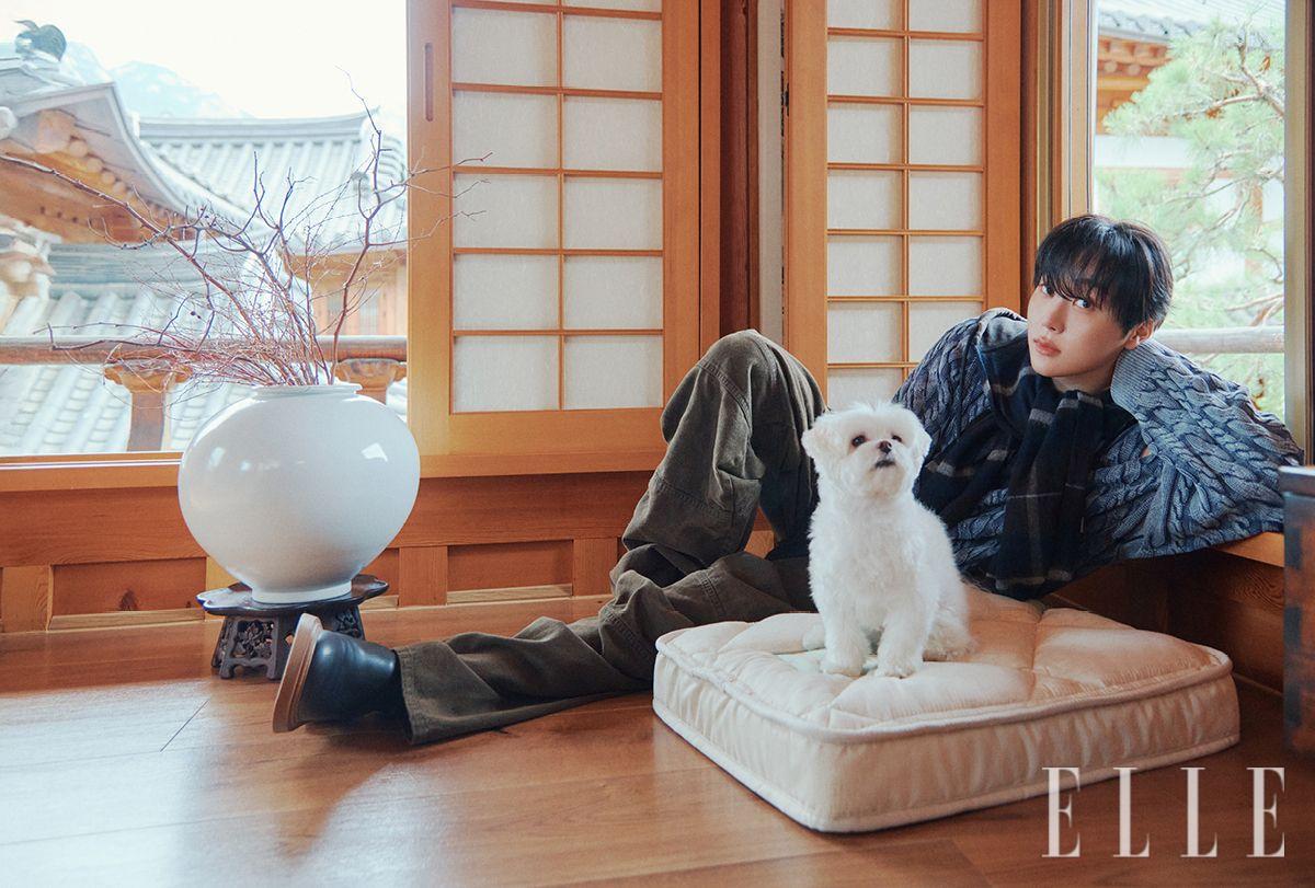 니트 톱과 후드 머플러, 팬츠는 모두 H&M Glenn Martens. 슈즈는 Loewe. 티셔츠는 스타일리스트 소장품. 펫 3대 안심 인증을 획득하고 비건 소재와 천연 식물성 소재, 7단 레이어링 기술로 최적의 통기성과 안락함을 구현한 펫 매트리스 'N32 쪼꼬미', 나일론 원단으로 오염 방지와 생활 방수가 가능한 ‘N32 쪼꼬미 커버 슬리브’는 모두 N32. 