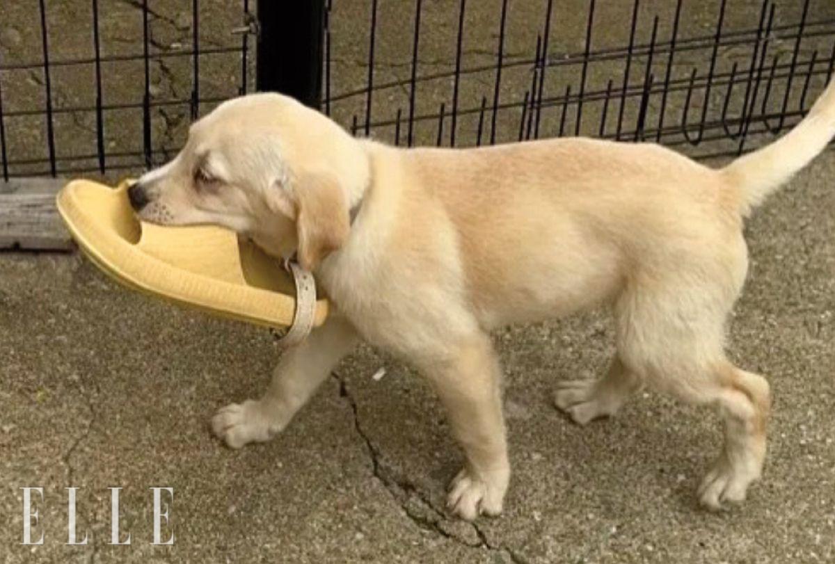 유사천은 봉사 크루와 물품 후원, 재능 기부자를 상시 모집하며, 공식 인스타그램 DM과 네이버 카페를 통해 따스한 손길을 내밀 수 있다. 페이팔(yusachun@naver.com) 후원도 열려 있다.