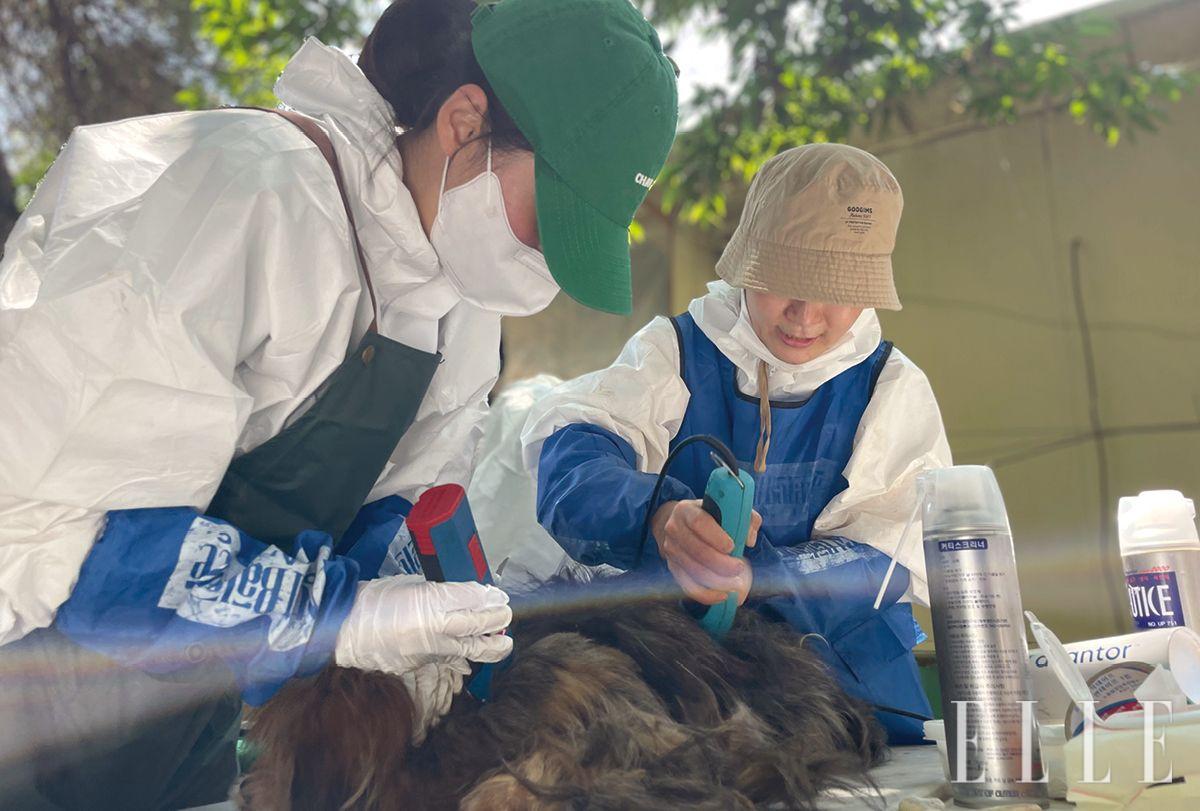 매주 토요일 오전 11시부터 오후 5시까지 ‘입양마당’이 열린다. 이 시간에 현장 봉사가 가능하며, 유기동물 구조와 차량 이동 봉사도 필요한 상황. 봉사자 모집 공고와 후원 안내는 네스트 공식 SNS에 수시로 게시되니 참고하자.후원은 페이팔 (dorothy828282@naver.com)과 공식 채널에 기재된 계좌를 통해 가능하다. 치료가 시급한 구조견이 많아 치료비 릴레이 후원 공지가 피드를 통해 수시로 게시된다. 또 산책과 청소, 병원 이송, 입양 행사 등 다양한 현장 봉사도 함께할 수 있다.