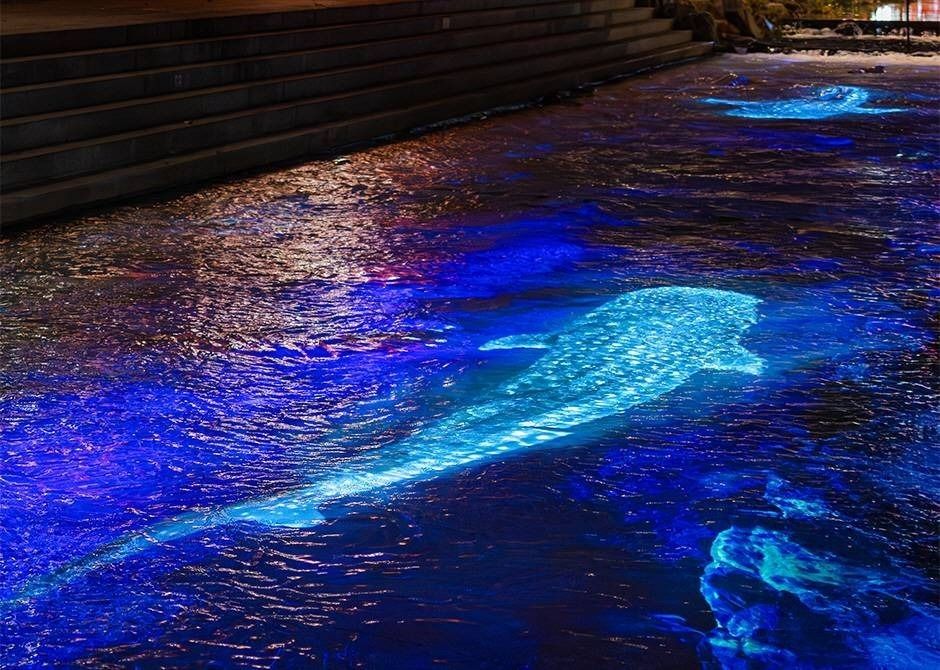 서울 빛초롱축제