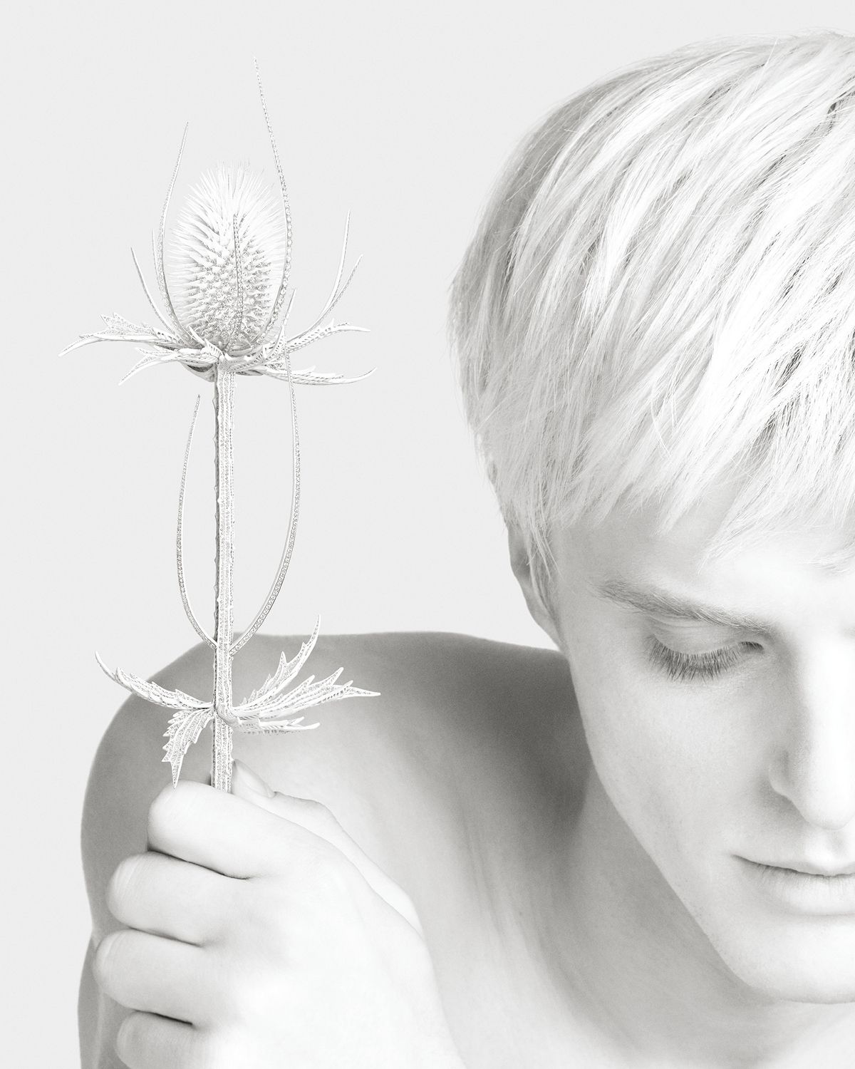  ‘Composition N°5’의 장수풍뎅이 브로치. 