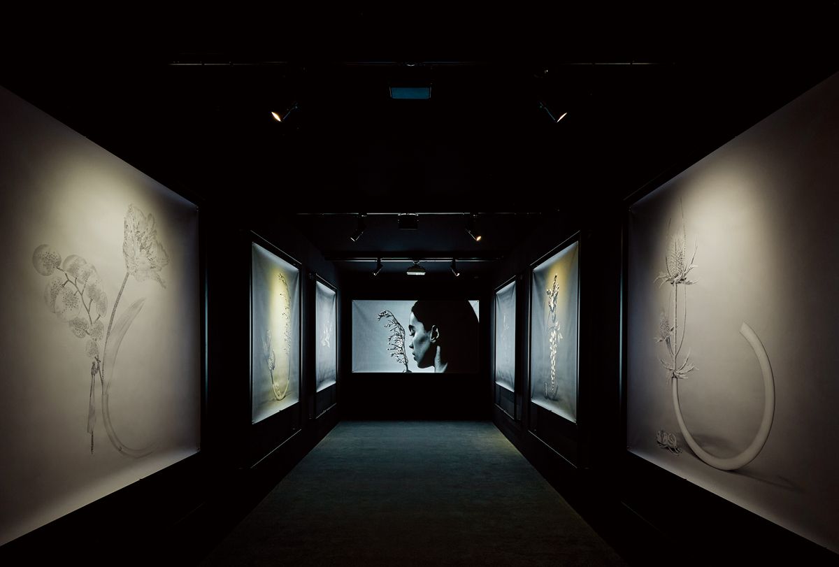 2025 까르뜨 블랑슈 하이 주얼리 컬렉션 ‘임퍼머넌스’ 전시 공간. 