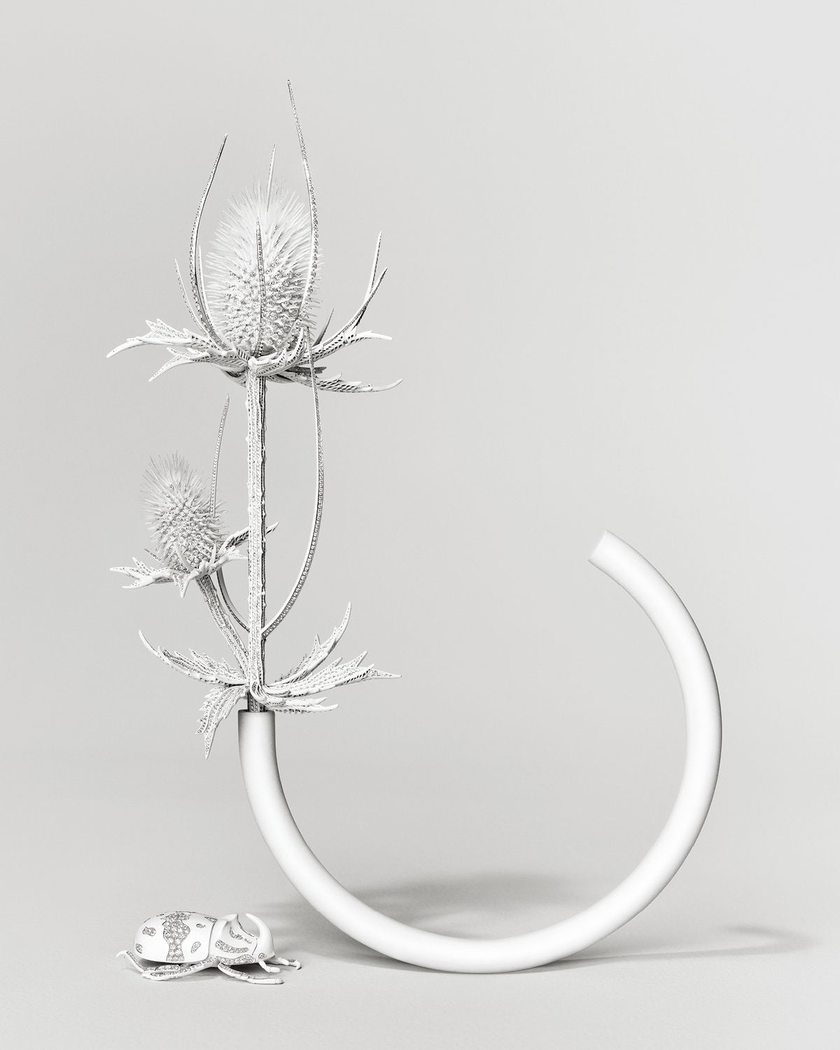  ‘Composition N°5’의 엉겅퀴.