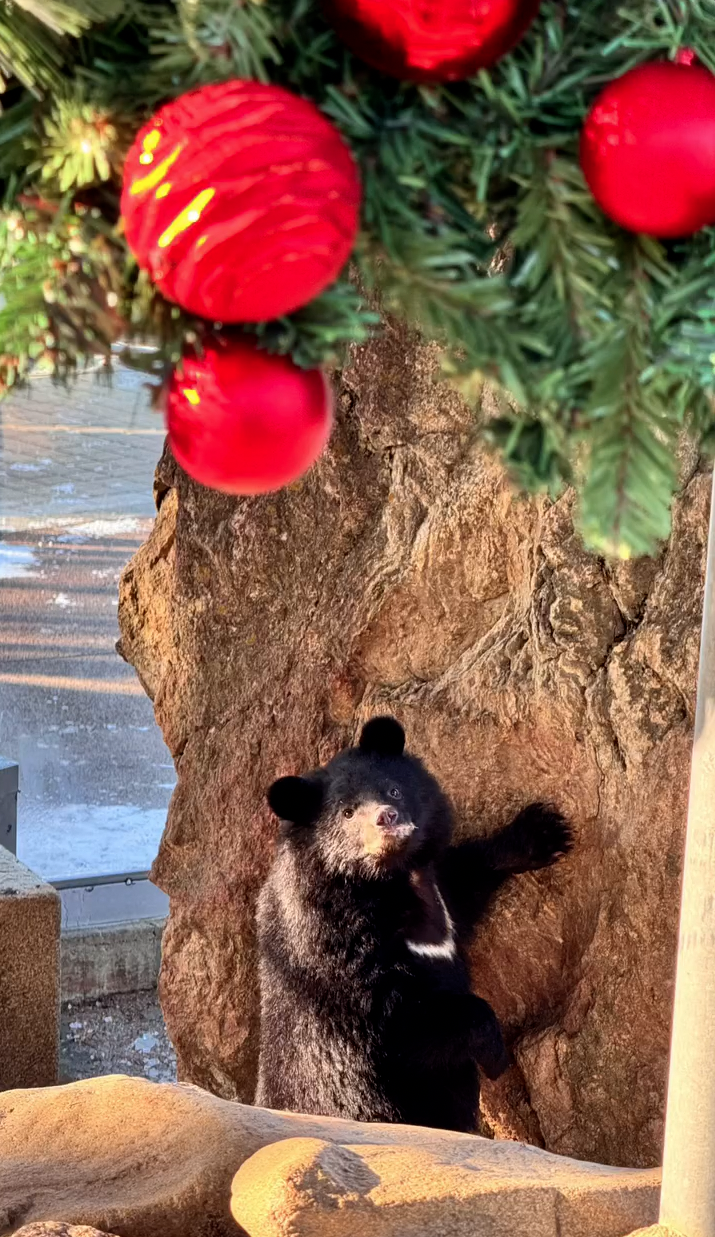 세종 베어트리 파크