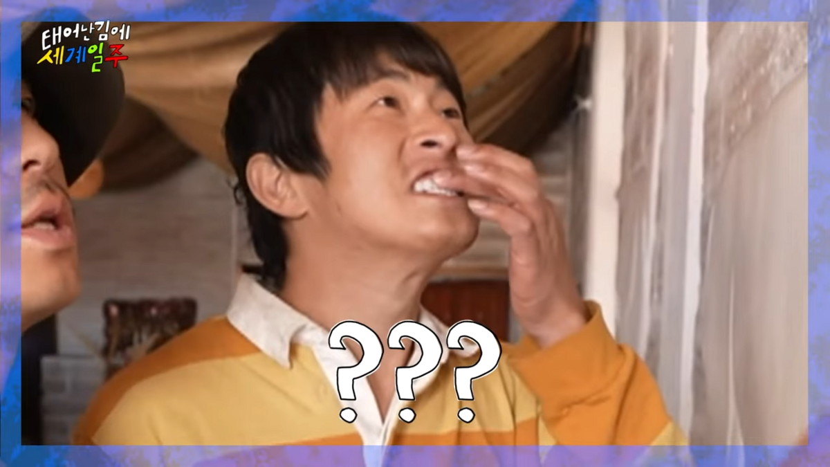 태어난 김에 세계일주 방송 장면 