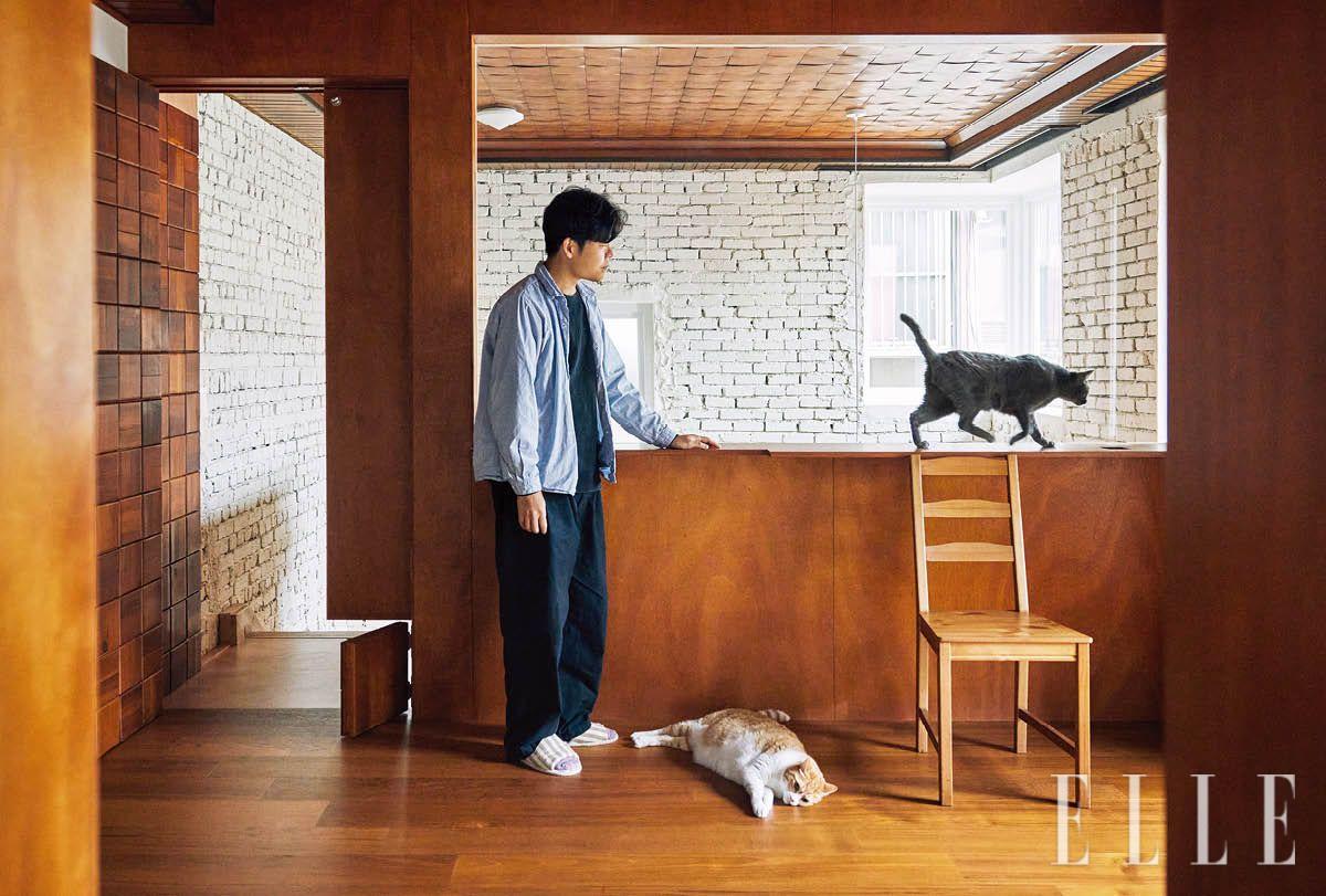 콰야 작가와 두 마리의 반려묘들.