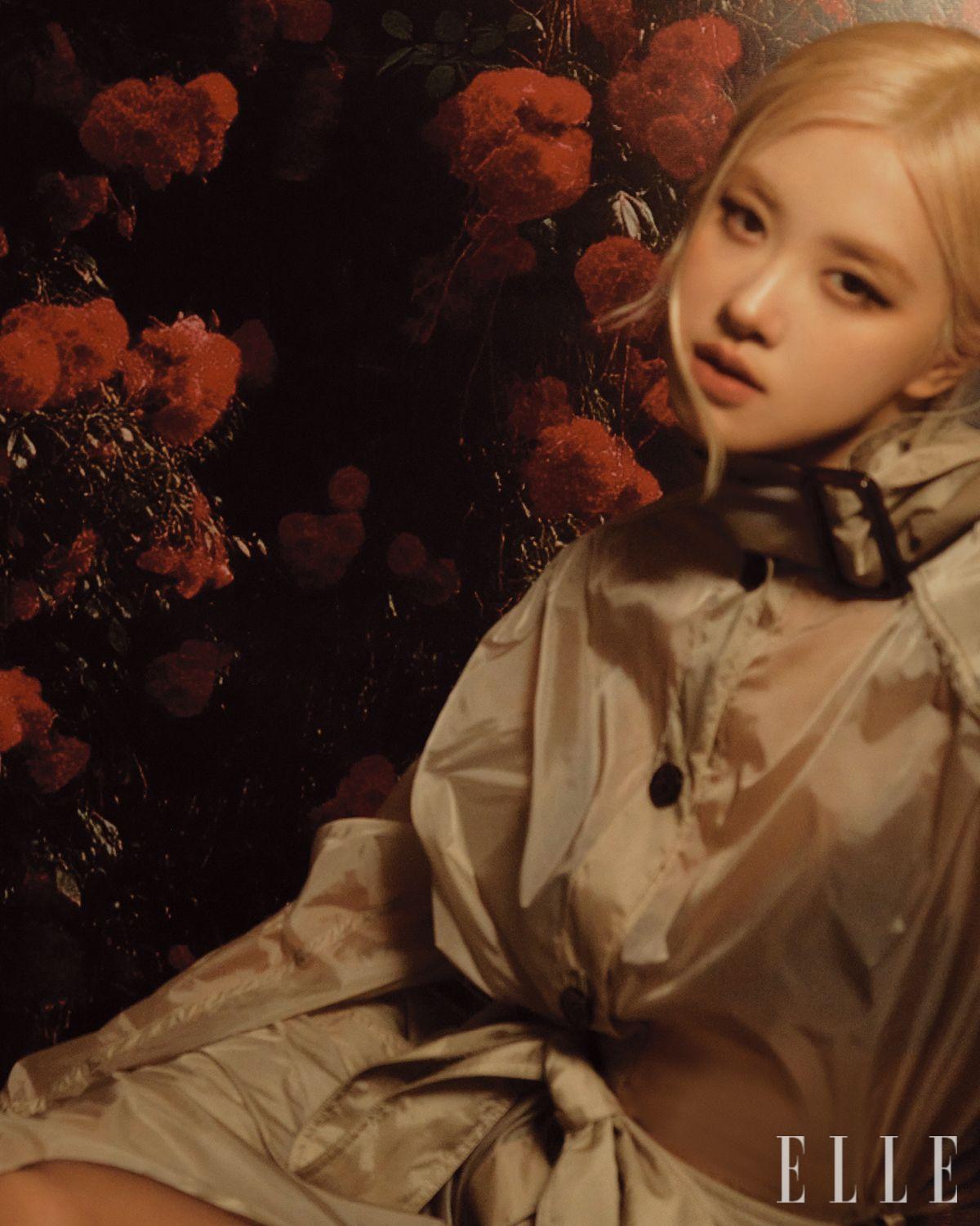 이미지 캡션 영역