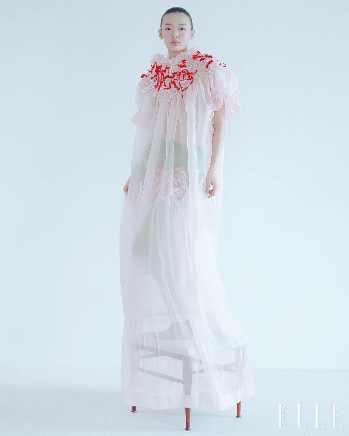 이미지 캡션 영역