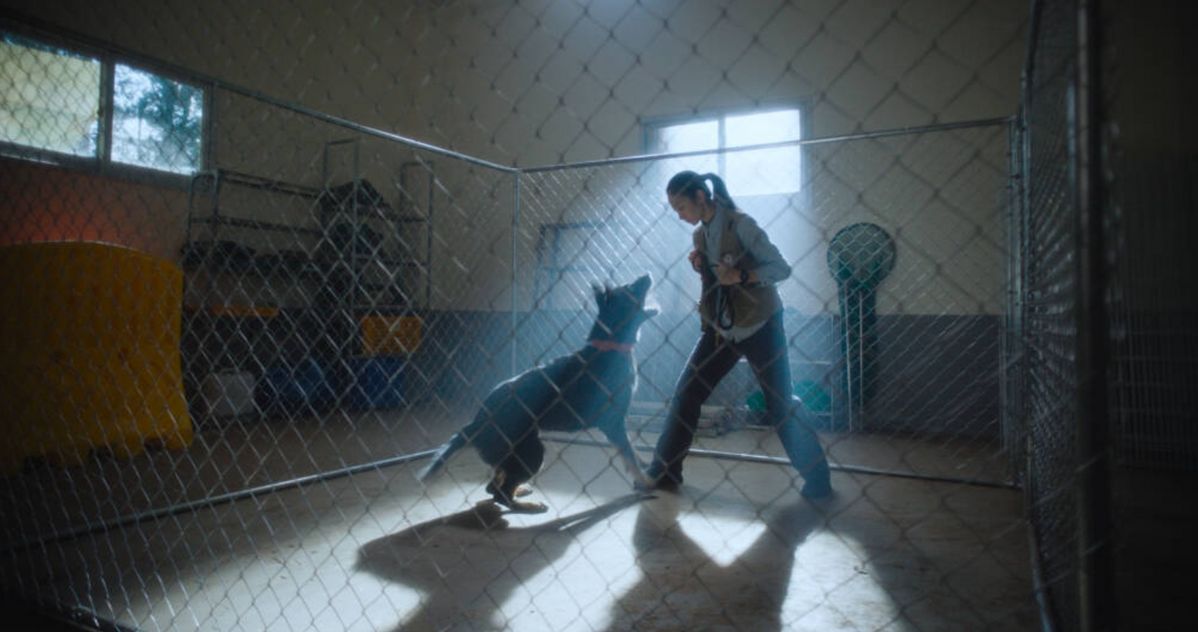 들개가 된 두부를 훈련하는 하영의 모습. 커다란 견사는 두부를 잡아들인 포획 틀과 닮았다. 이 구조에서 하영과 두부는 긴장 상태에 놓인다.