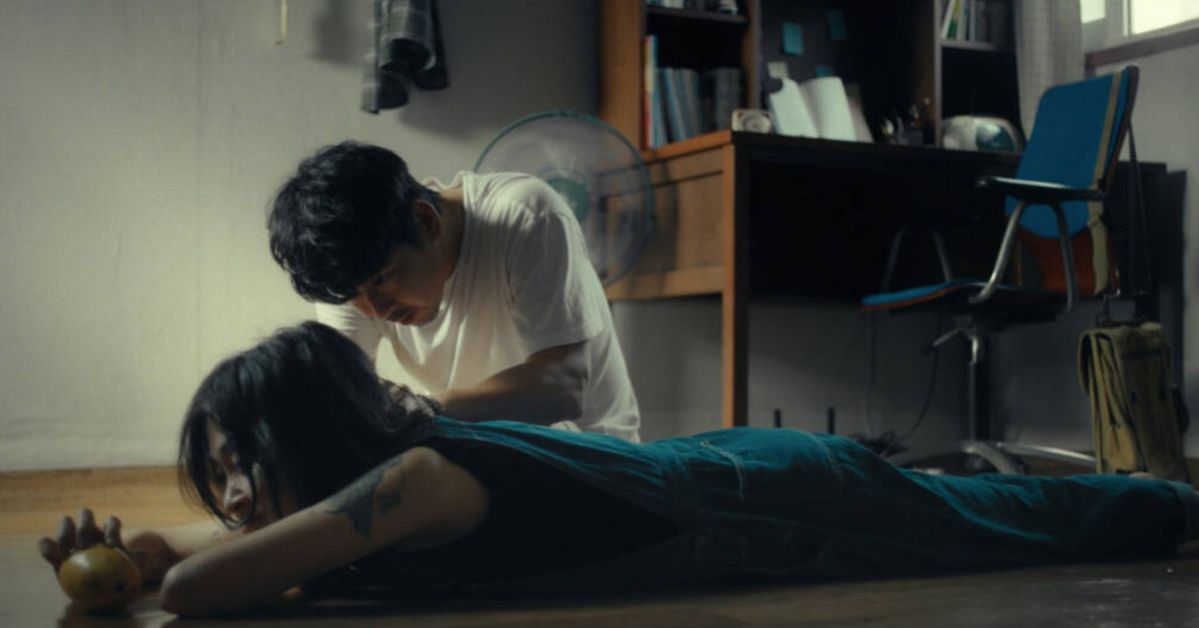 배우 지망생인 희지는 부지런히 오디션을 보며 누군가 자신을 발견해 주길 기다린다. 그런 희지의 마음을 헤아리듯 흰머리를 찾을 때마다 “발견!”이라 외치며 지망생인 연인을 응원한다.