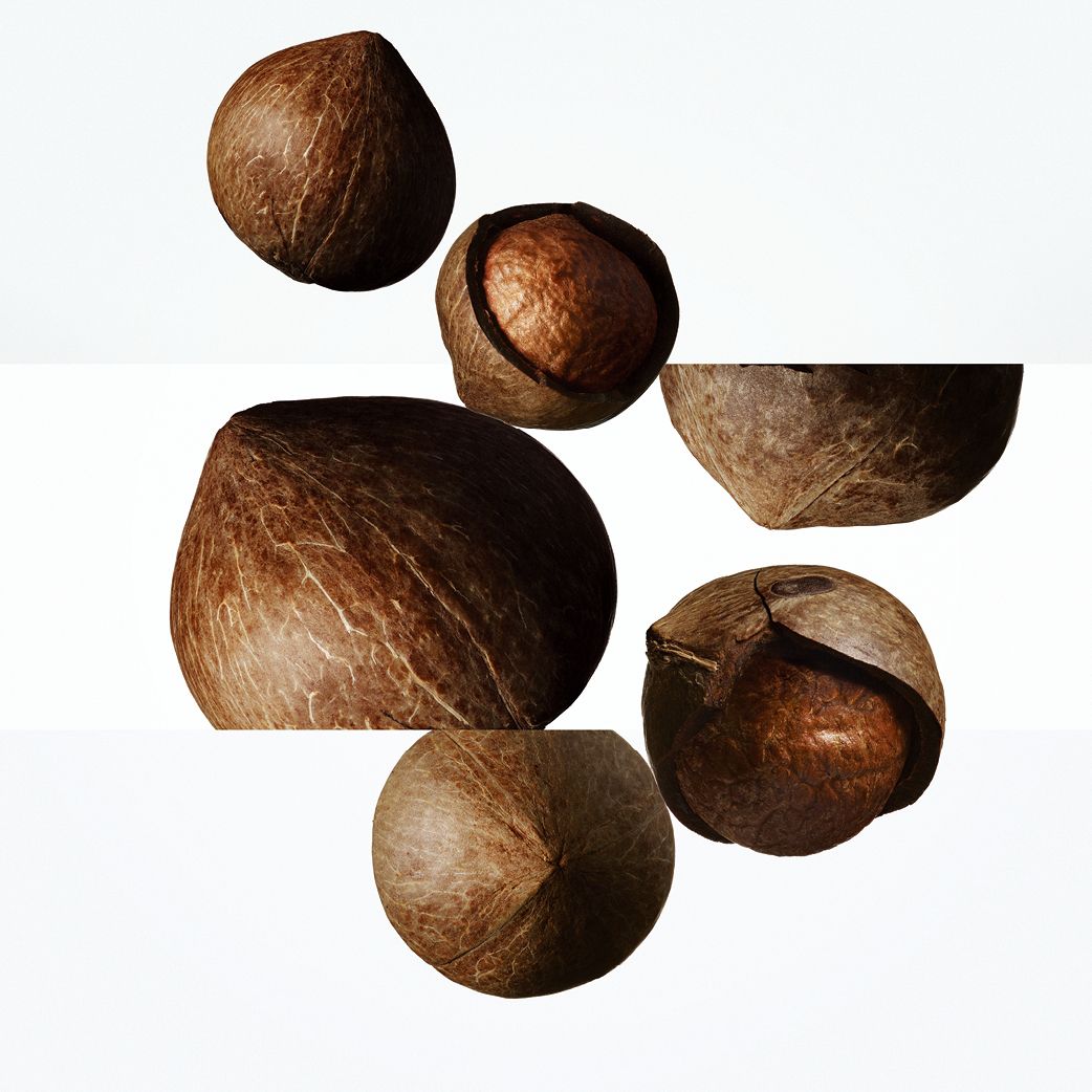 이국적인 티아레 꽃향기에 타마누 열매, 산호 어코드, 미네랄 노트를 더한 운 자르뎅 수 라 메르 오 드 뚜왈렛, 30ml 11만2천원, 50ml 16만5천원, 100ml 24만5천원, Hermès.