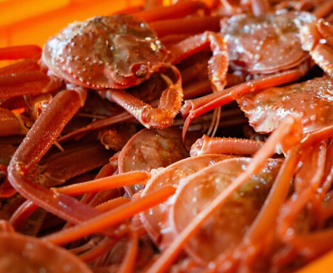 울진대게와 붉은대게 축제