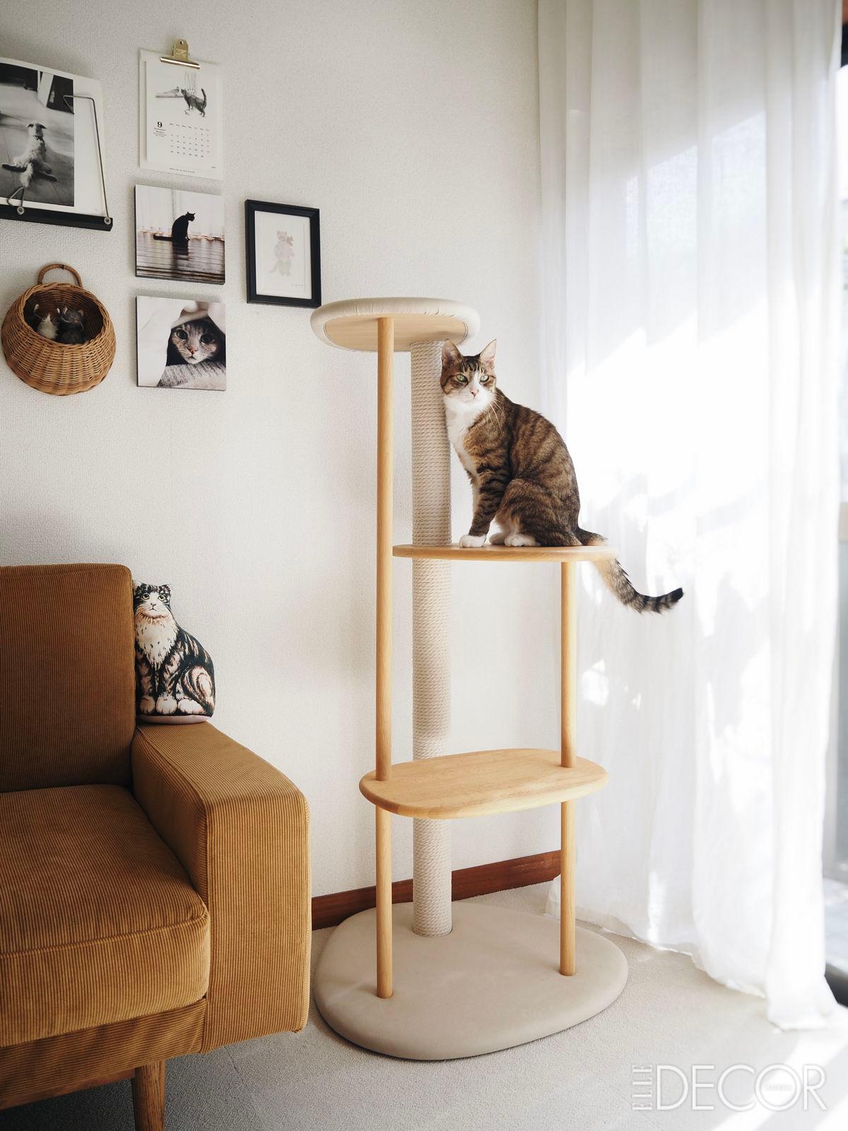 KARIMOKU CAT의 ‘캣타워’.