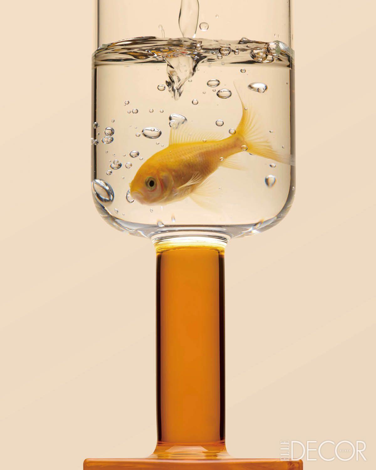 컬러플한 받침대가 있는 글라스는 3만원대, Mango Home. 