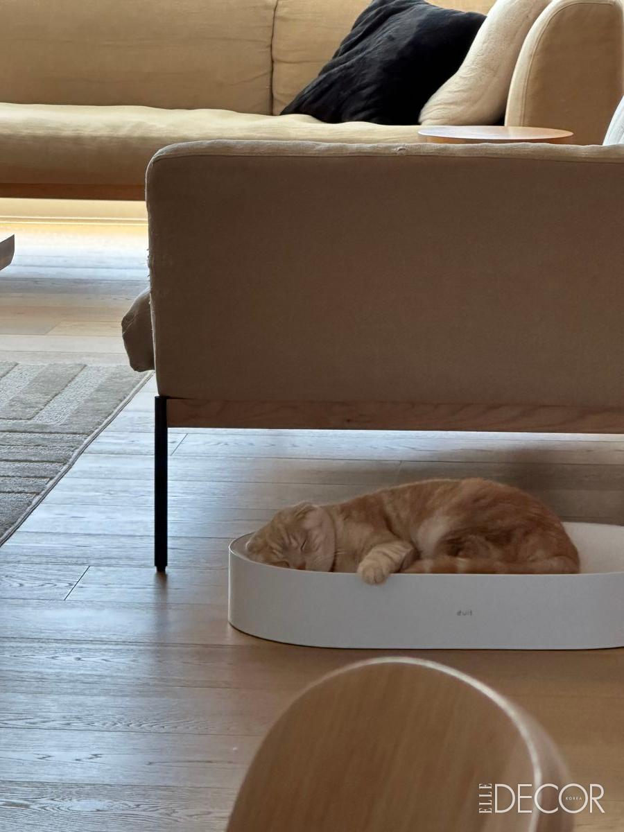 두잇(Duit)의 ‘올데이 보드’.