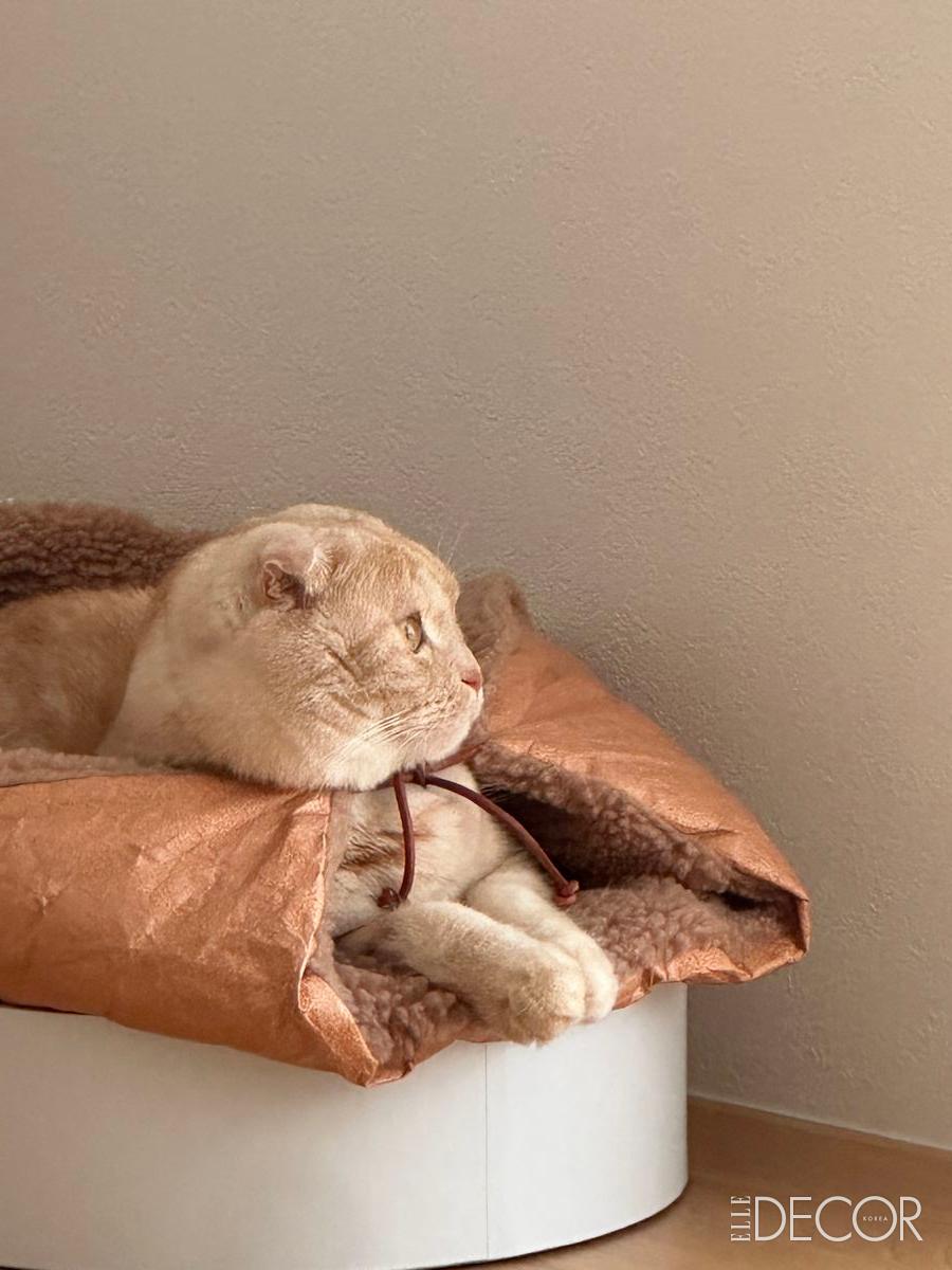 오힛(Ohit)의 ‘바게트 하우스’.