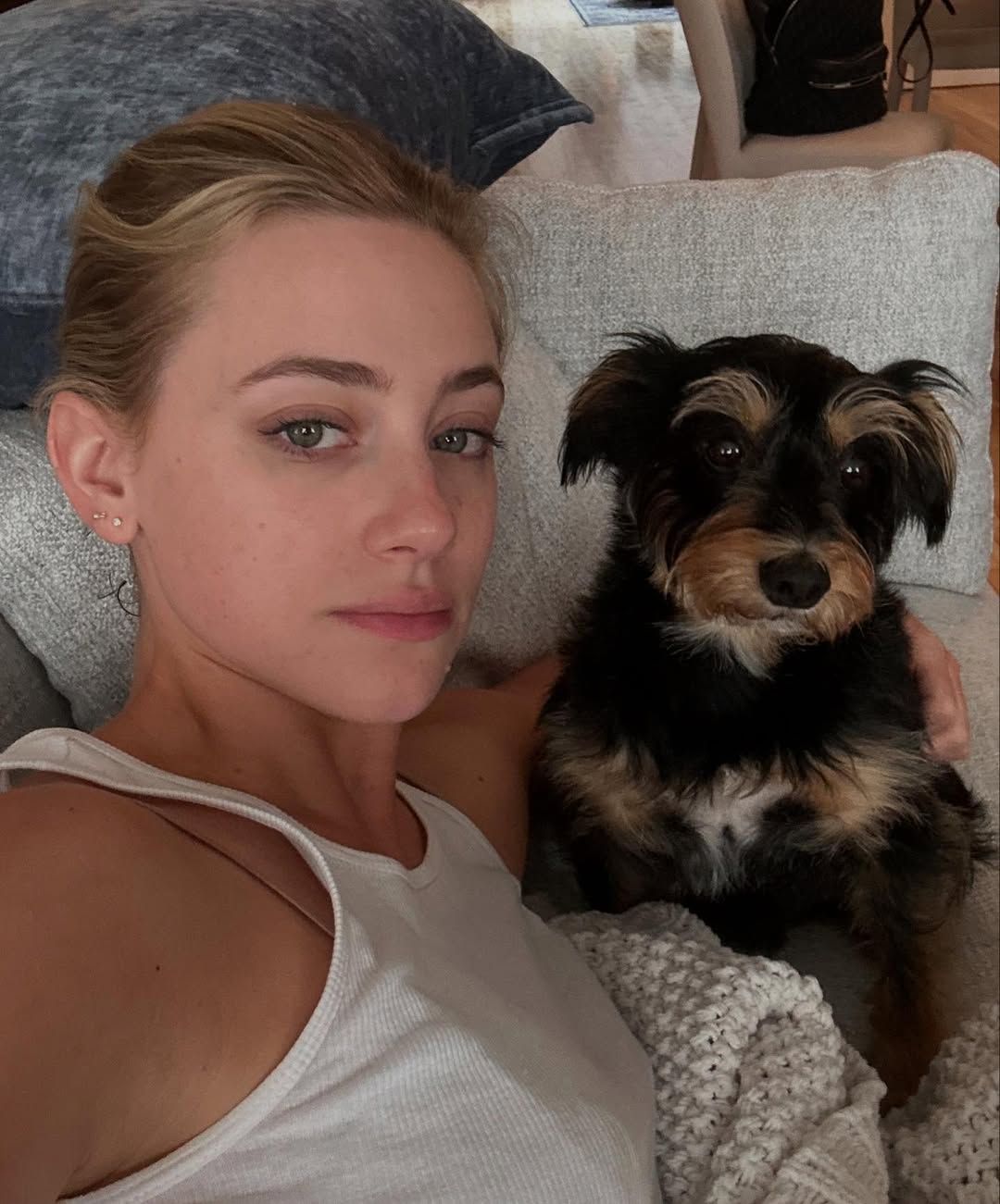 @lilireinhart