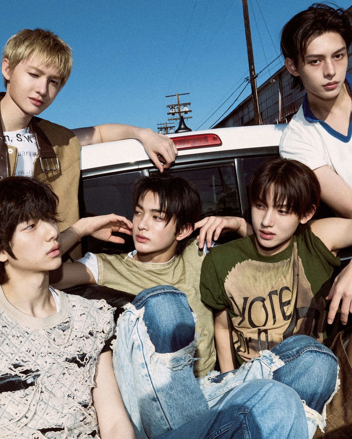 코르티스 위버스