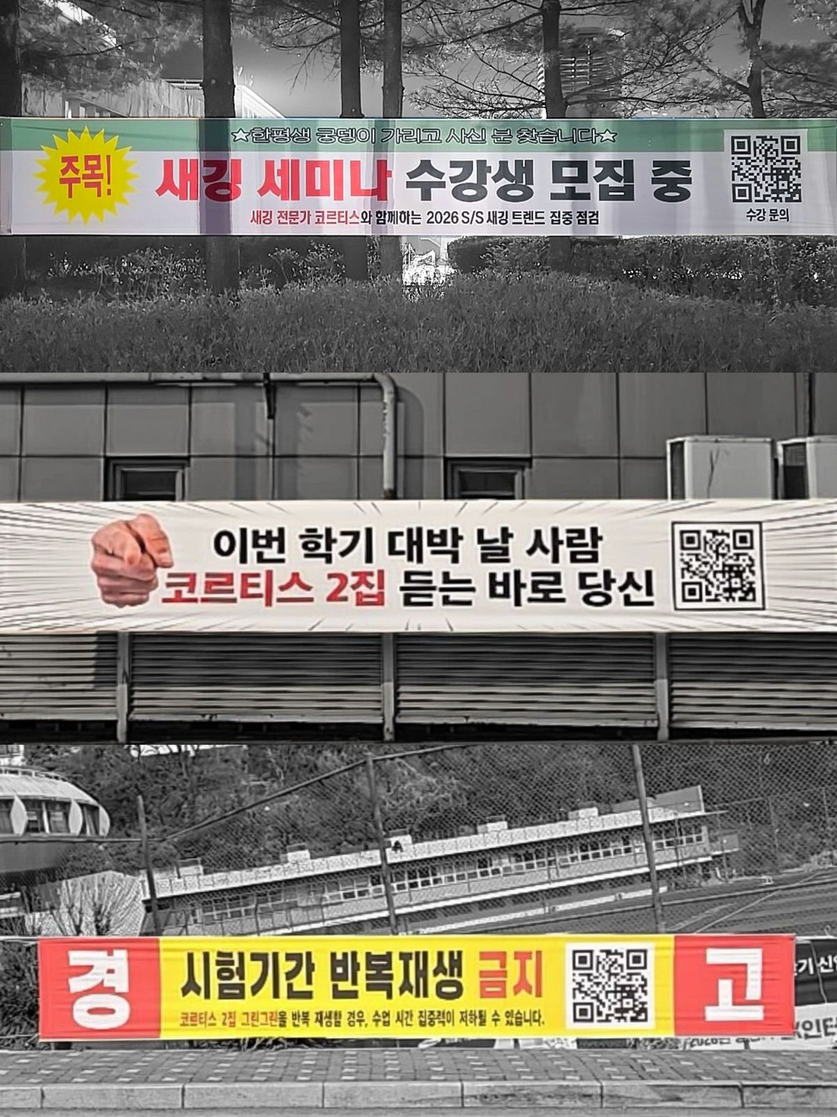 코르티스 공식 X