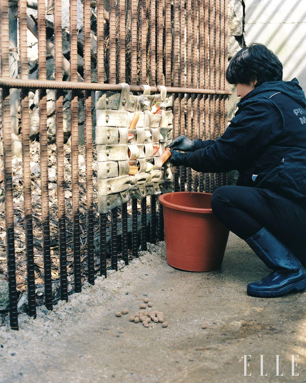 조아라 활동가가 행동 풍부화를 위해 매듭에 급여를 꽂고 있다.