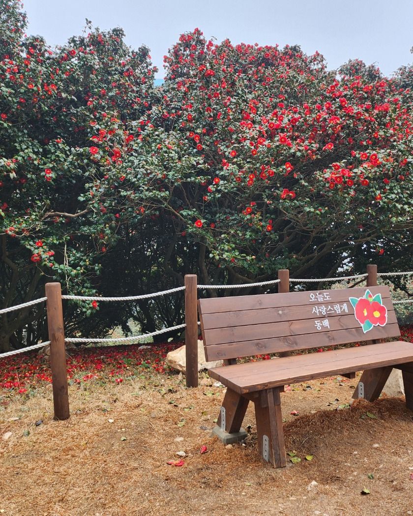 서천 동백꽃 주꾸미 축제 행사 사진 