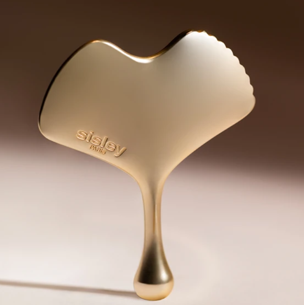 징코 과샤 (괄사)